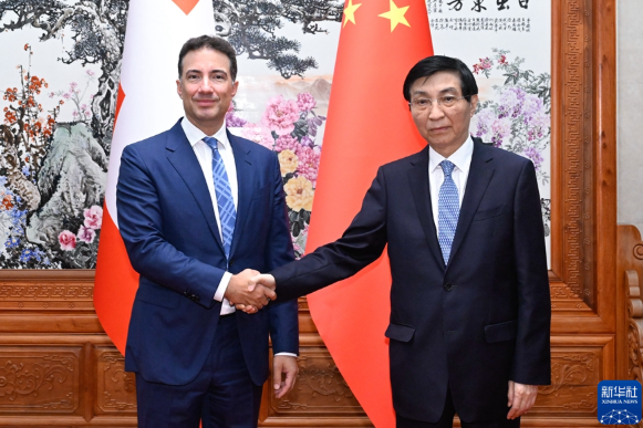 王沪宁会见瑞士联邦议会联邦院议长卡罗尼