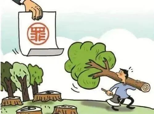 非法占用林地？五年刑期和赔偿守护老百姓权益！