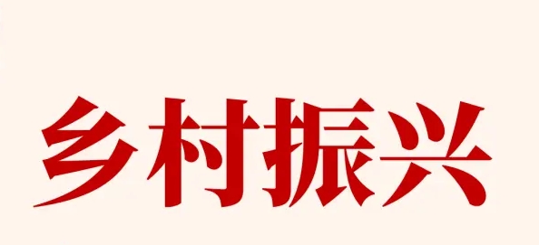 农村实行两保三必须！