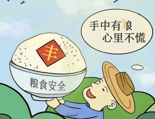 揭秘保障粮食安全的关键招数！