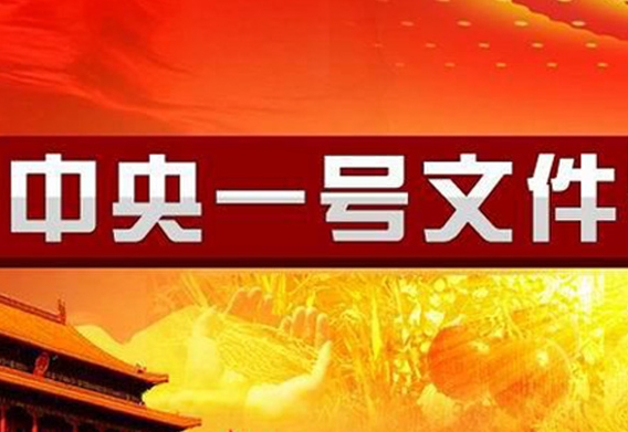 中央一号文件聚焦：粮食单产提升，农民增收有招！