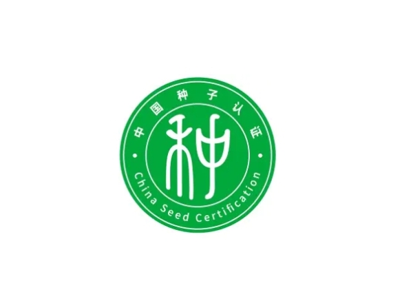 拒绝“问题种子”！看这个关键环节如何守护农民利益