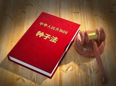 植物新品种权：育种者权益的坚实保障