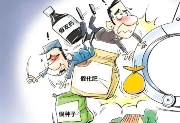 种子市场乱象整治：为农民筑牢农业根基