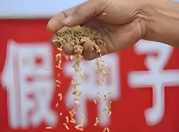 严打假劣种子，护航农业高质量发展