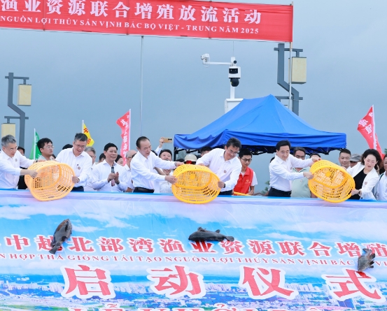 中越联合举行2025年北部湾渔业资源增殖放流活动3 中越联合举行2025年北部湾渔业资源增殖放流活动3