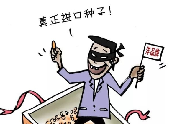 种子进出口的红线：假劣种子，一票否决！
