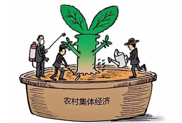 农村集体经济组织成员必知：六项义务助力乡村繁荣