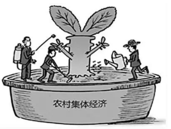 农民朋友注意啦！村集体章程修订有这些重点