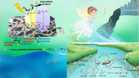 量子点磁性生物炭复合材料可见光催化降解四环素 量子点磁性生物炭复合材料可见光催化降解四环素
