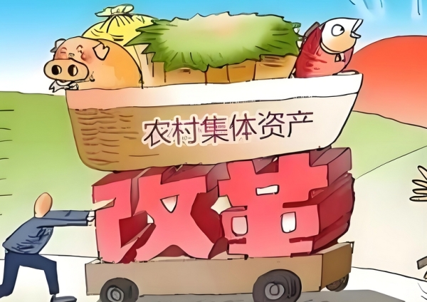 农村集体经济新变革：村民做主，未来可期