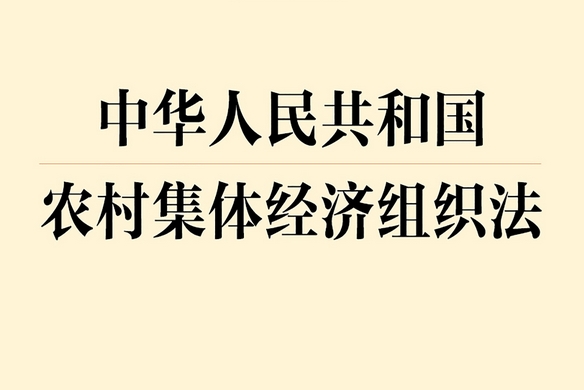 农村组织分立，财产债务分配有高招