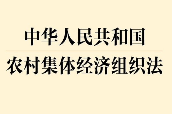 农村集体经济：这些行为被严格禁止