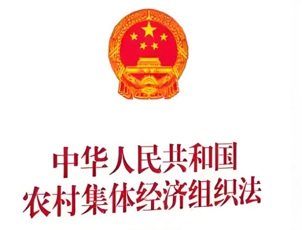 农村土地“活”起来，乡村发展有新路