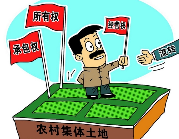 土地经营新招数：出租入股，让农村土地“活”起来