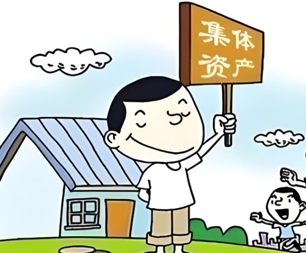 村民当家做主！村庄经济“明白账”公开