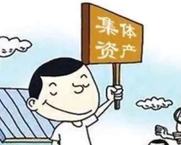 集体资产流失谁之过？上级政府出手，乱作为、不作为都要查！