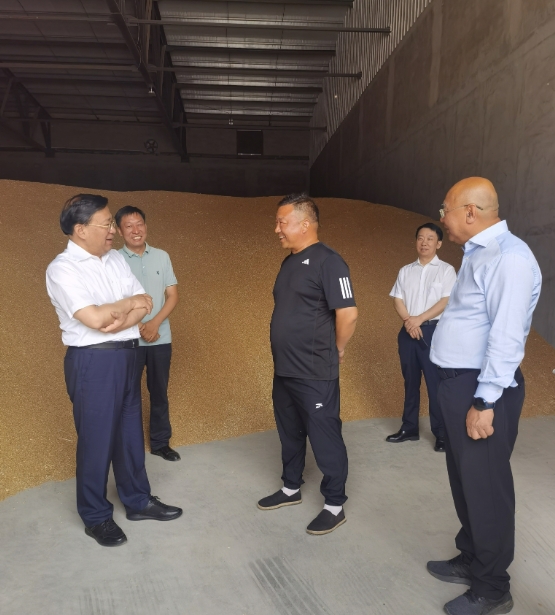 韩俊在河南河北调研时强调 扎实推进粮油作物大面积单产提升行动 全力以赴夯实全年粮食丰收基础2 韩俊在河南河北调研时强调 扎实推进粮油作物大面积单产提升行动 全力以赴夯实全年粮食丰收基础2