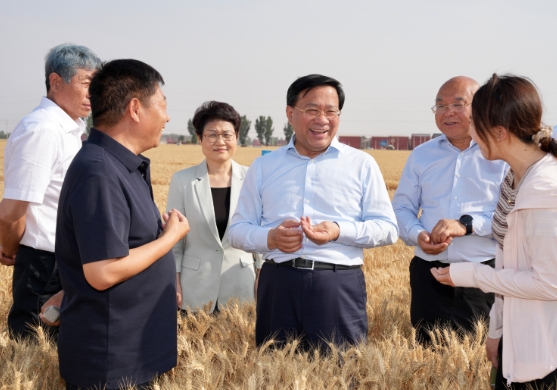 韩俊在河南河北调研时强调 扎实推进粮油作物大面积单产提升行动 全力以赴夯实全年粮食丰收基础 韩俊在河南河北调研时强调 扎实推进粮油作物大面积单产提升行动 全力以赴夯实全年粮食丰收基础