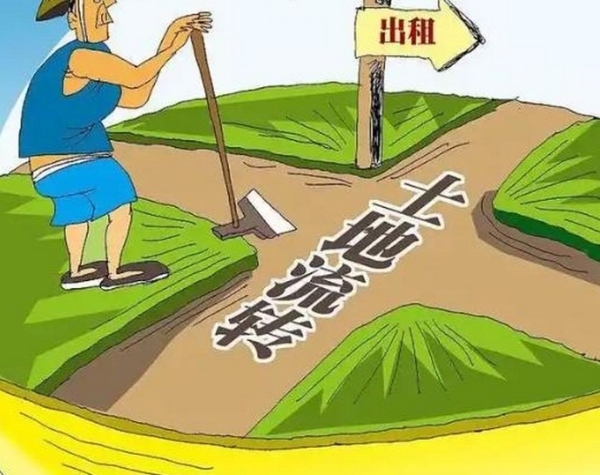 农民土地权益保障：法律要点速看！
