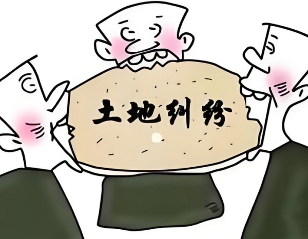 土地纠纷怎么办？五步维权指南来了！