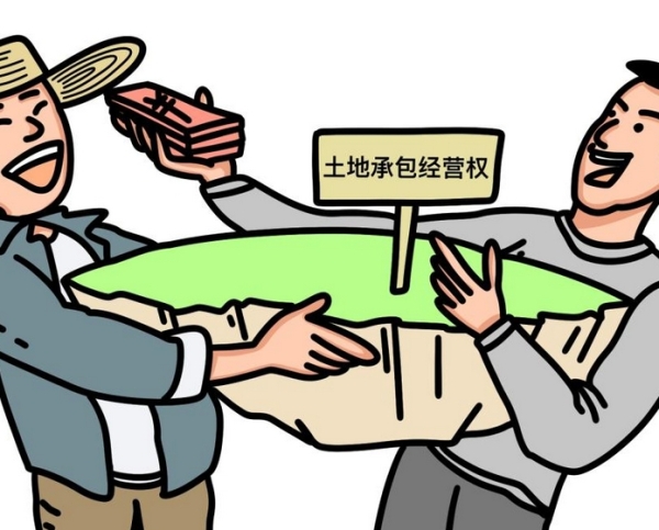 想稳稳拿到土地承包权？这几个法子得知道！