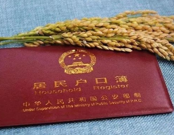农村户口的“含金量”有多高？这些好处告诉你答案！