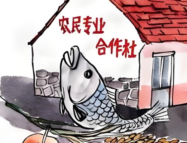 合作社服务全链条，农民增收有“靠山”