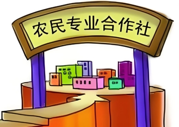 合作社发展有准则，规范行为赢未来