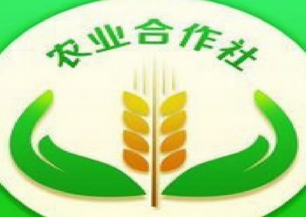 合作社联合社：抱团取暖，让农村经济更强大！