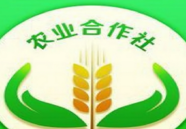合作社成员构成：农民说了算，比例有红线！