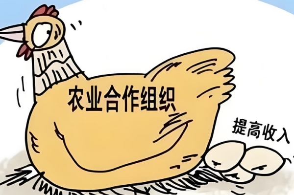 合作社也能当“股东”？投资新机会来了！