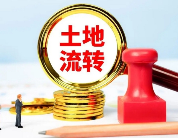 租地人乱来怎么办？记住这招，土地立马回到你手！