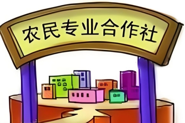 农民专业合作社成员退出，出资、盈余、亏损怎么算？