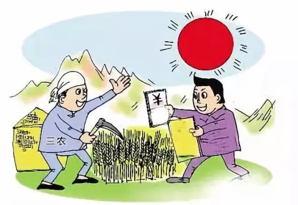一年最少聚一次：合作社“大家长会”怎么开，你说了算！