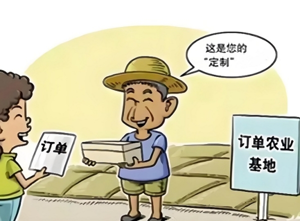 订单农业防骗指南：别让骗子坑了你的辛苦钱！