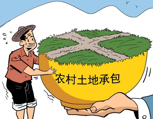 土地权益有保障，这些承包政策要知道！