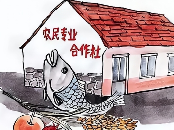 登记来不得虚的！合作社造假要挨罚