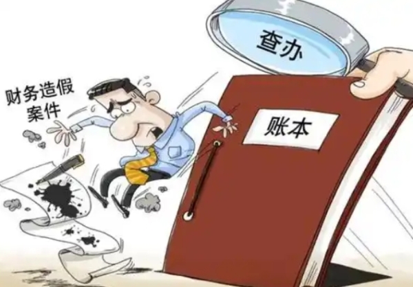 报假账？合作社财务数据容不得半点虚！